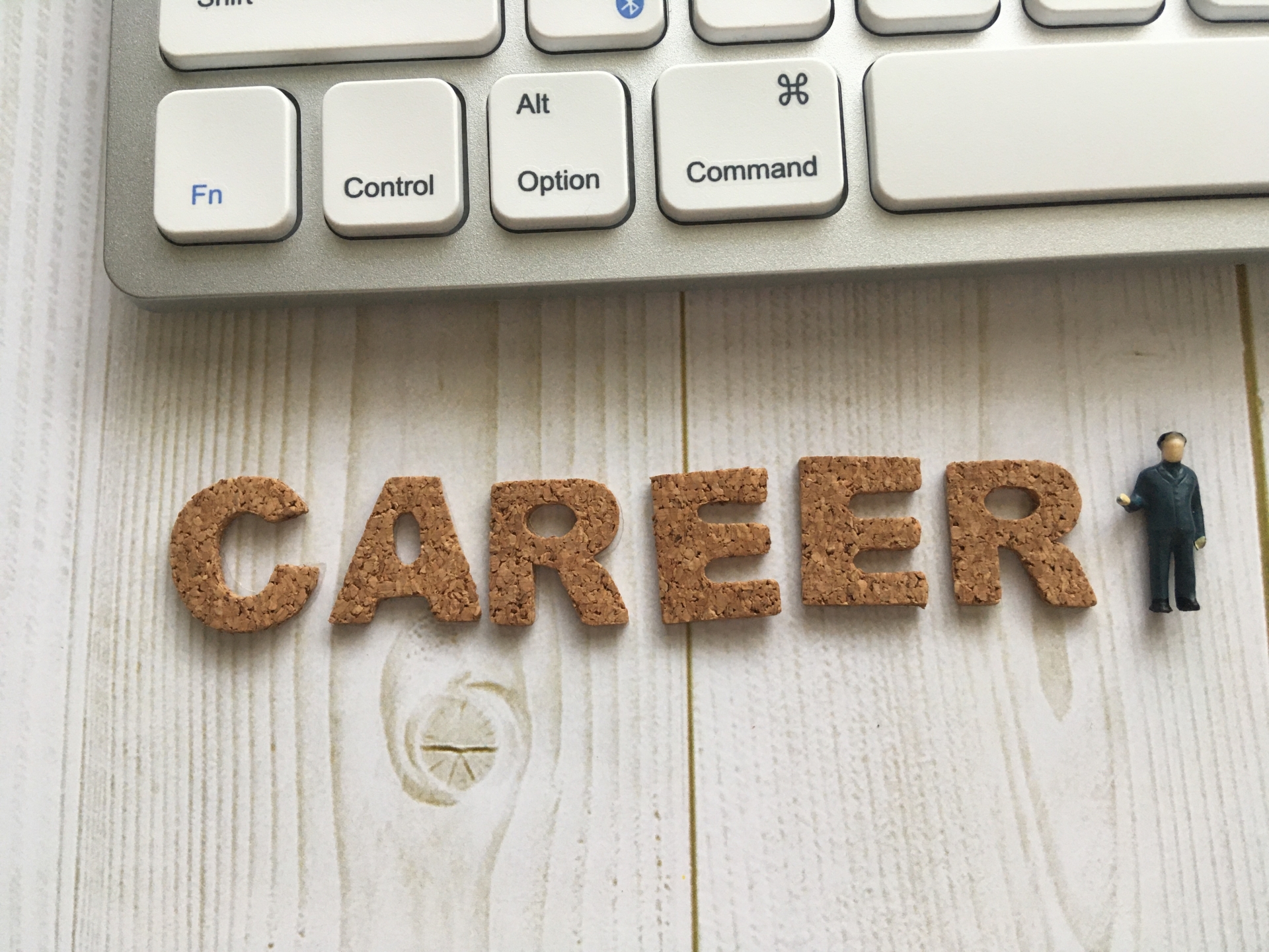 CAREERの文字ブロック